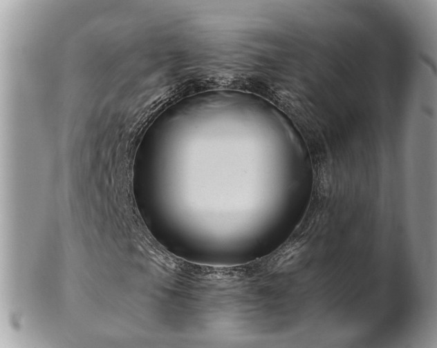 X0000101171105200807071215