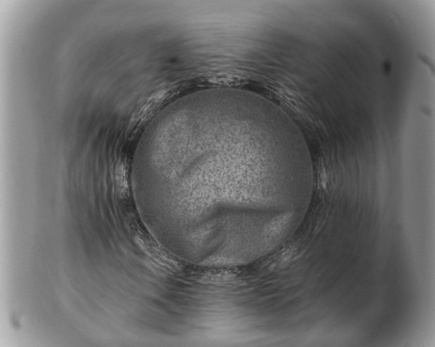 X0000101171106200807071215