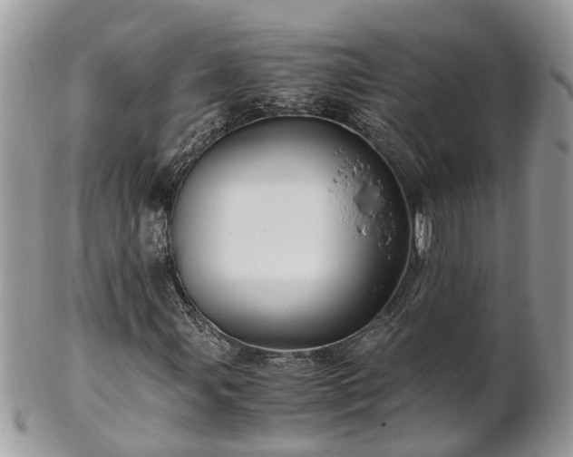 X0000101171107200807071215
