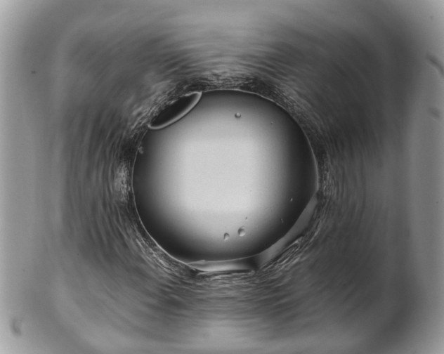 X0000101171108200807071215