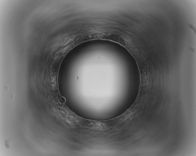 X0000101171109200807071215