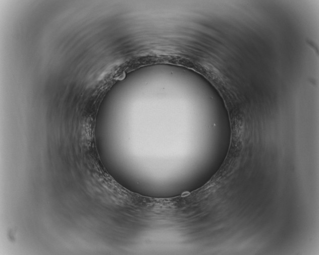 X0000101171110200807071215