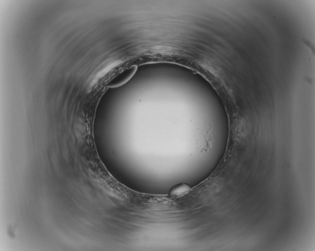 X0000101171112200807071215
