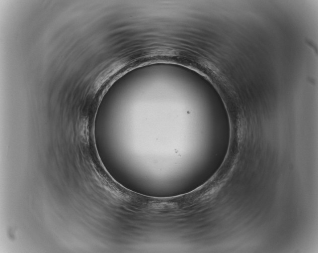 X0000101171113200807071215