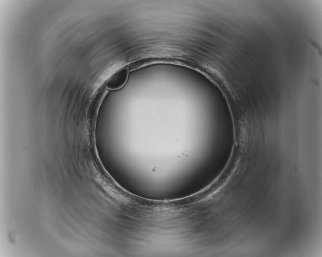 X0000101171114200807071215