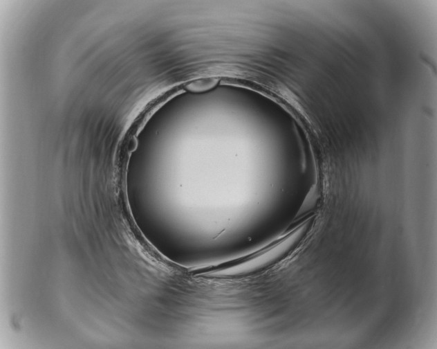 X0000101171116200807071215