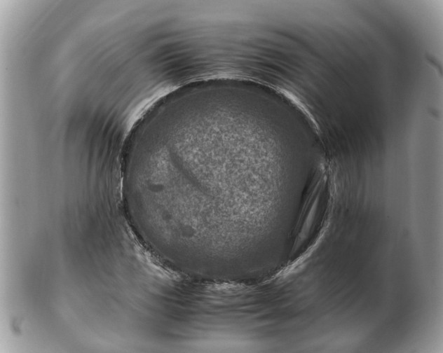 X0000101171117200807071215