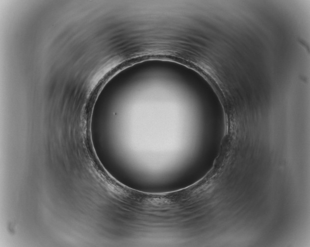 X0000101171119200807071215