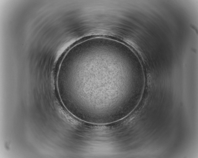 X0000101171120200807071215