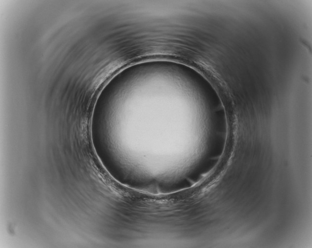 X0000101171121200807071215