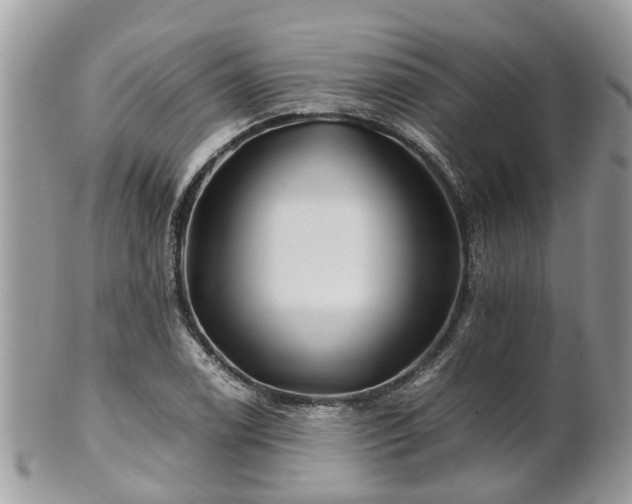 X0000101171122200807071215
