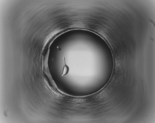 X0000101171123200807071215