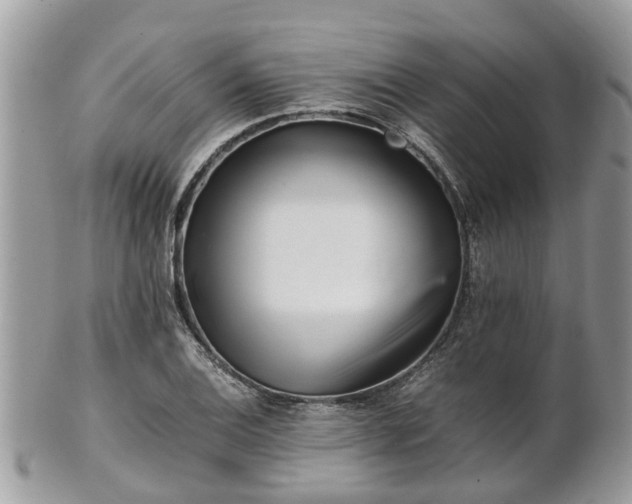 X0000101171124200807071215