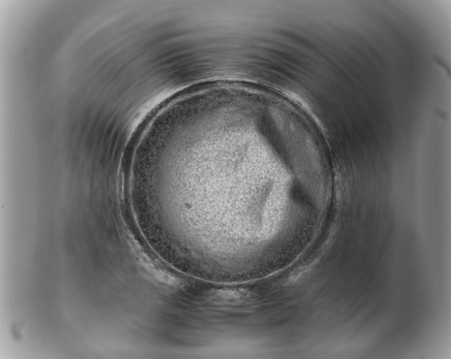 X0000101171125200807071215
