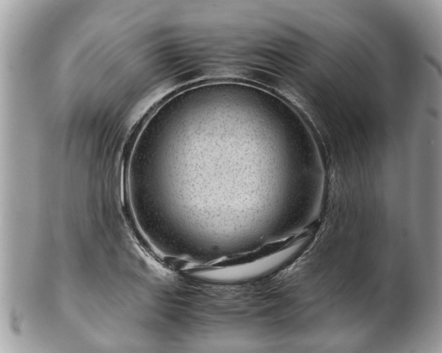 X0000101171127200807071215