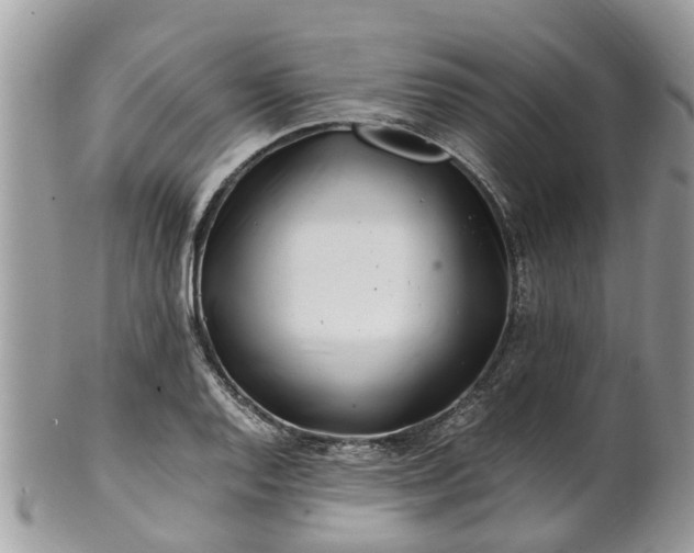 X0000101171128200807071215