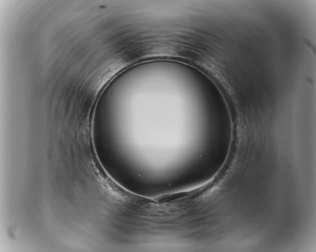 X0000101171129200807071215