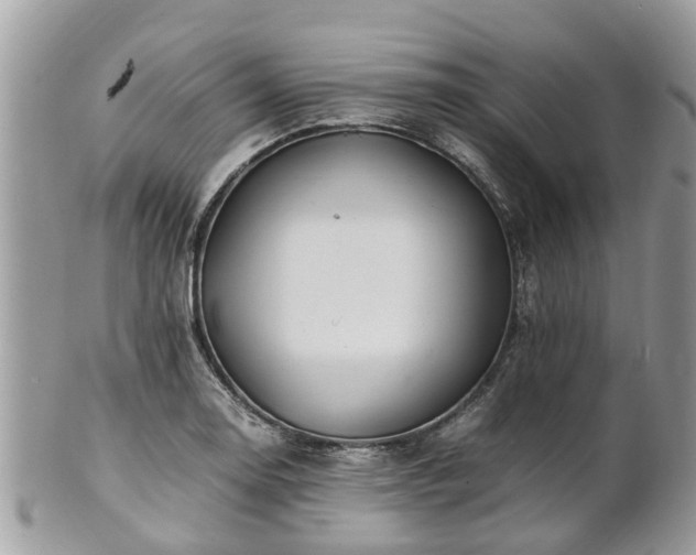 X0000101171130200807071215