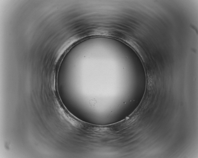 X0000101171131200807071215