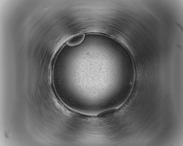 X0000101171132200807071215