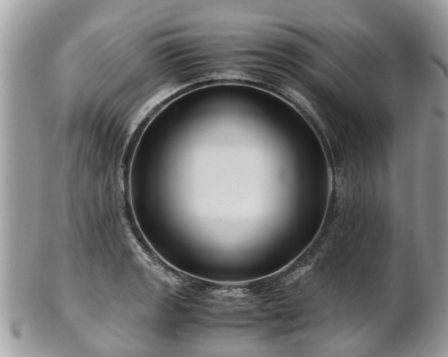 X0000101171133200807071215