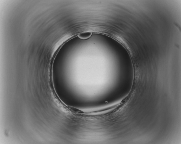X0000101171138200807071215