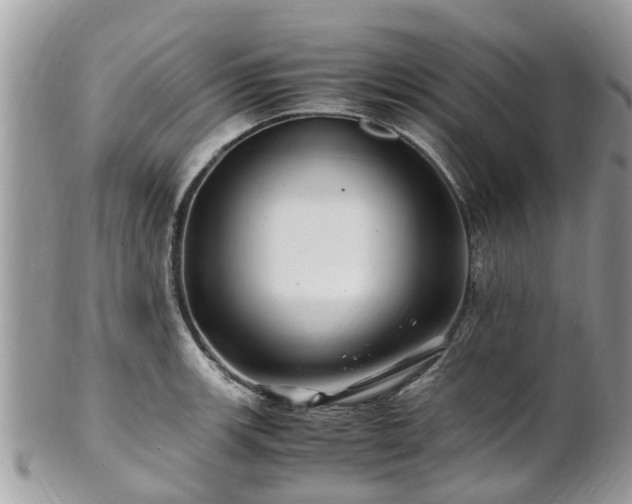 X0000101171139200807071215