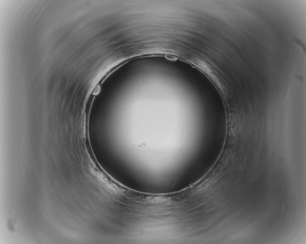 X0000101171140200807071215