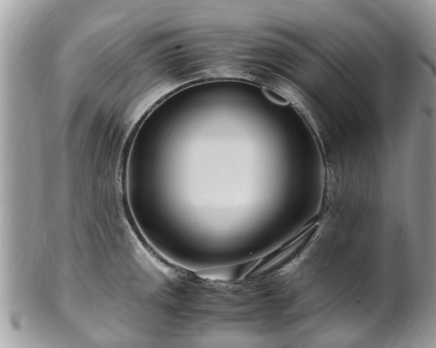 X0000101171141200807071215