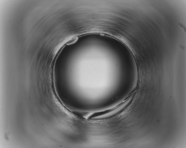 X0000101171142200807071215
