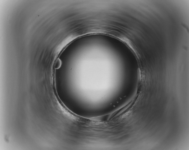 X0000101171143200807071215