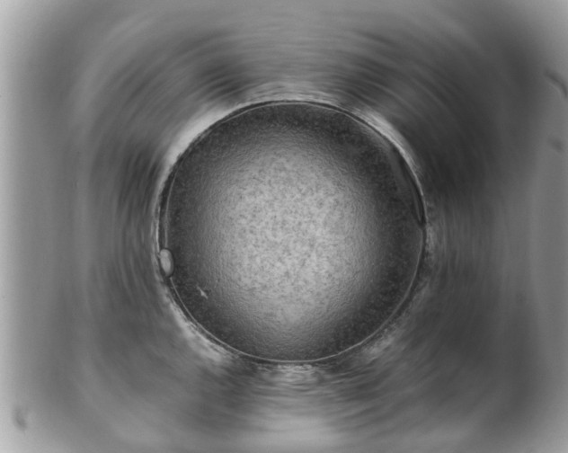 X0000101171144200807071215