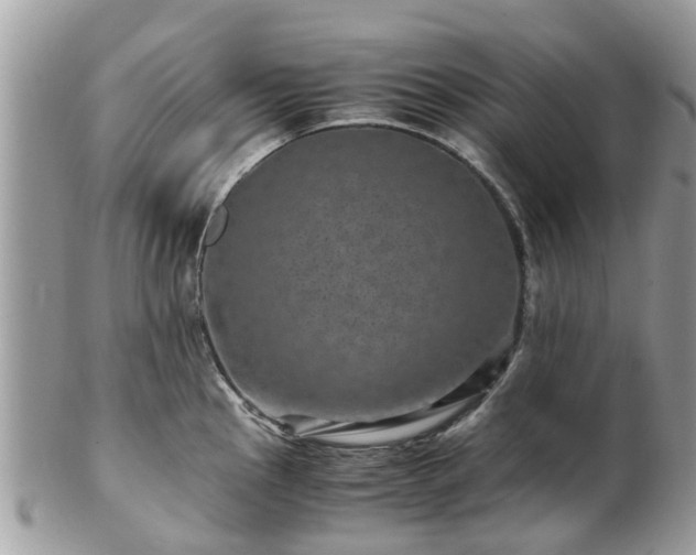 X0000101171145200807071215