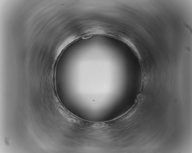 X0000101171146200807071215