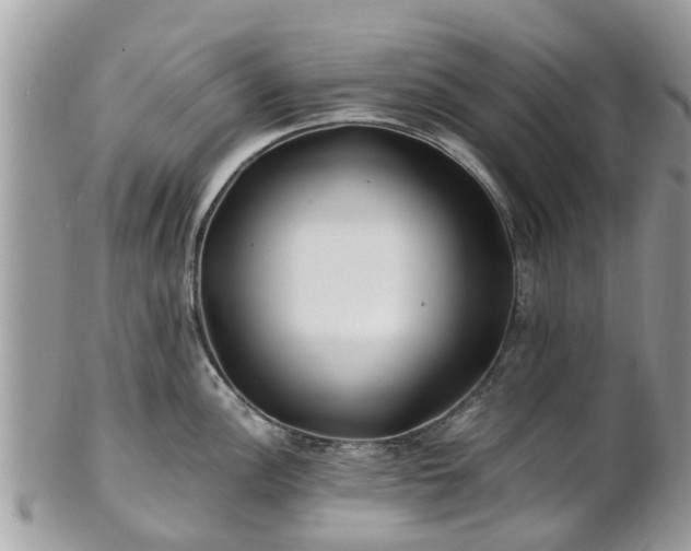 X0000101171148200807071215