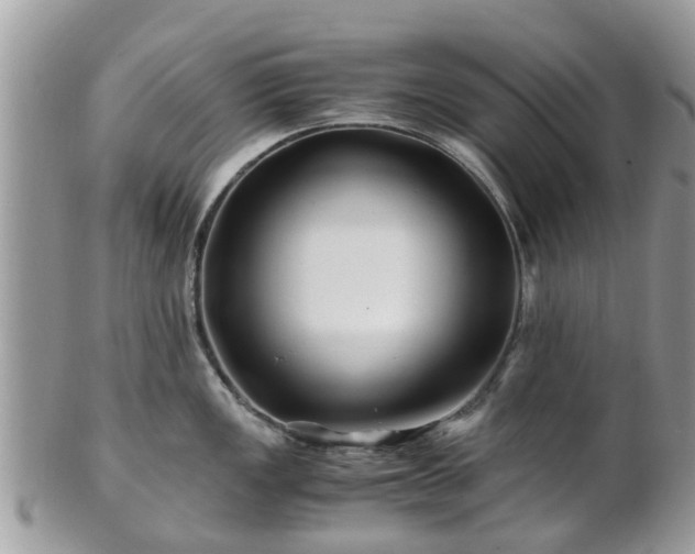 X0000101171149200807071215