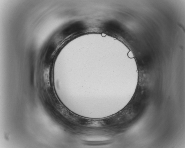 X0000101171150200807071215
