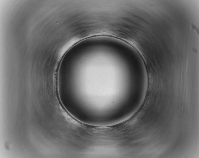 X0000101171151200807071215