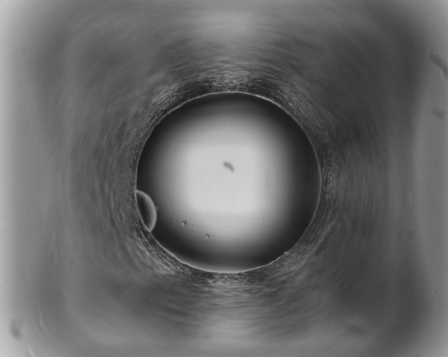 X0000101171153200807071215