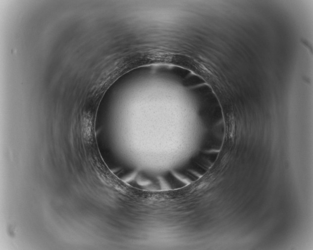 X0000101171154200807071215