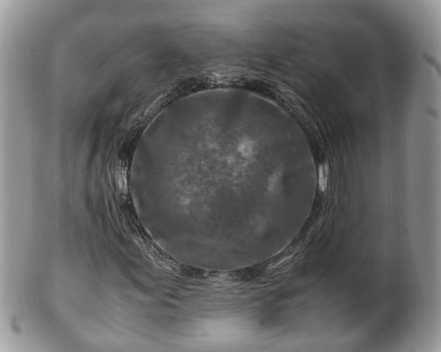 X0000101171155200807071215