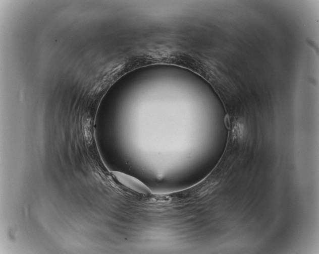 X0000101171156200807071215