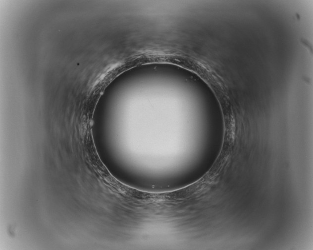 X0000101171157200807071215