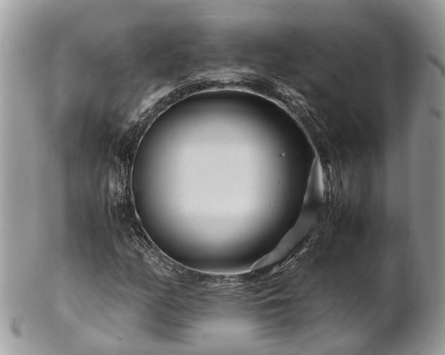 X0000101171158200807071215