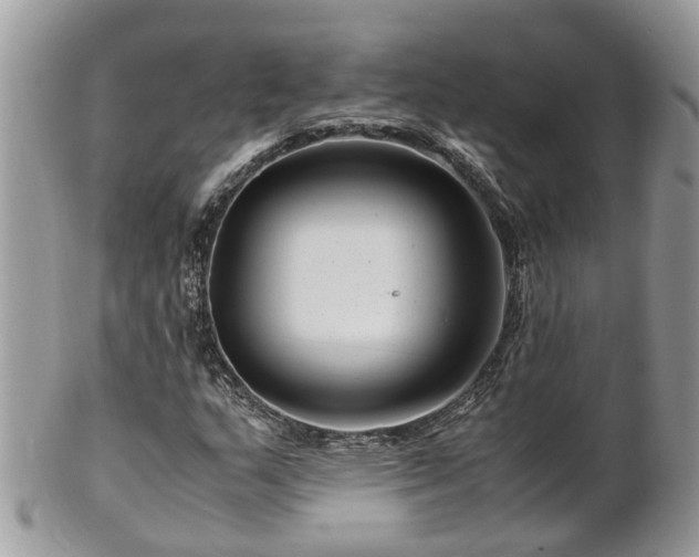 X0000101171159200807071215