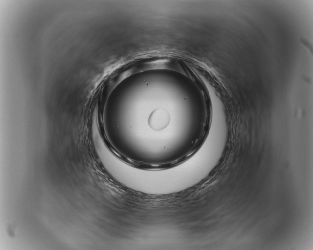 X0000101171160200807071215