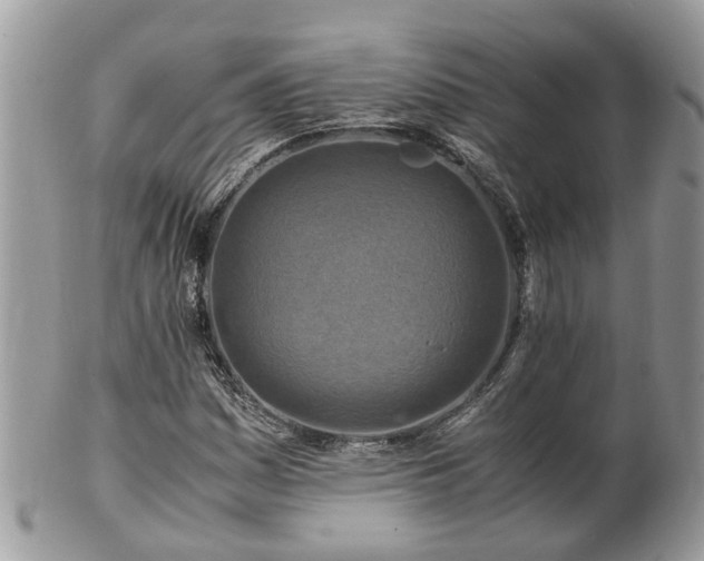 X0000101171161200807071215