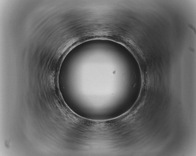 X0000101171162200807071215