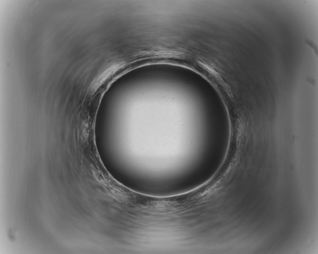 X0000101171163200807071215