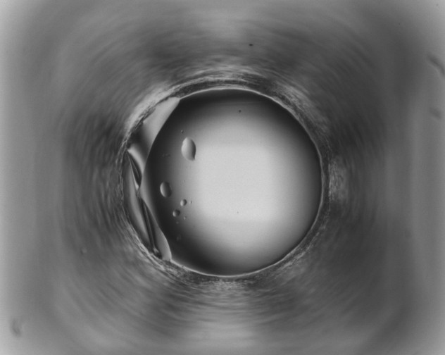 X0000101171164200807071215